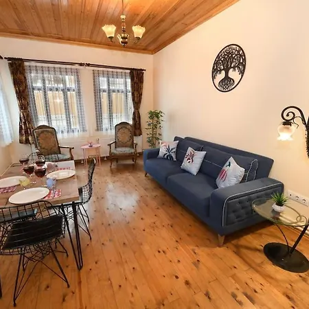 Apartman Traditional Wooden Ottoman House @grandbazaar